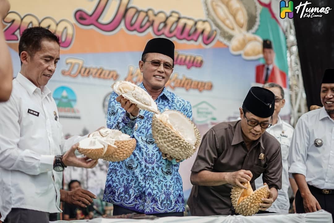 Bupati Herdiat: Festival Durian Kalijaya Upaya Tingkatkan Ekonomi Petani Durian Lokal