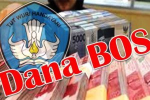 Dana-BOS.jpg