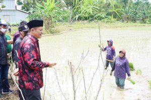 Adi Nugraha Purna Yudha, Enos, Enos- Yudha, H Lanosin, H Lanosin Hamzah ST, H. Lanosin Hamzah, Kabupaten Ogan Komering Ulu Timur, Kabupaten OKU Timur, Lanosin, Lanosin Hamzah, Martapura, Ogan Komering Ulu Timur, Oku Timur, Pilkada Ogan Komering Ulu Timur, Pilkada Ogan Komering Ulu Timur 2020, Pilkada OKU Timur, Pilkada OKU Timur 2020, Provinsi Sumatera Selatan, Provinsi Sumsel, Relawan Enos-Yudha, Sumatera Selatan, Sumsel