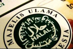 indonesia-halal-watch-sertifikasi-halal-tetap-harus-lewat-lppom-mui-uqx.jpg