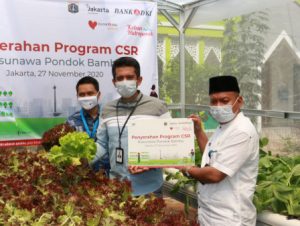 Bank-DKI-Ajak-Warga-Rusun-Kembangkan-Usaha-Hidroponik.jpg