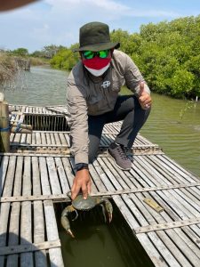 PT Indah Kiat Pulp and Paper (IKPP) Tangerang Distribusikan Bantuan Kepiting Siap Telur Di Pantai Utara Tangerang (1)