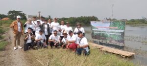 Peringati Hari Lingkungan Hidup Sedunia, Indah Kiat Tangerang Tanam 10 Ribu Bibit Mangrove (3)