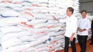 Presiden Jokowi Tinjau Stok Beras dan Serahkan Bantuan Cadangan Pangan