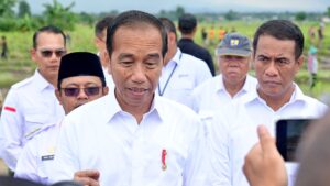 Presiden Jokowi Sebut Potensi IKN Dongkrak Pertumbuhan Ekonomi Sektor Pertanian