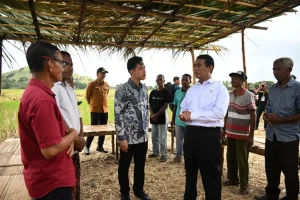 Kunjungi-Petani-Desa-Kolisia-Di-Kabupaten-Sikka-Wapres-Serahkan-Bantuan.webp