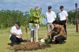 Wapres-Tanam-Pohon-Ulin-Di-Plaza-Bhinneka-Tunggal-Ika-Simbol.webp