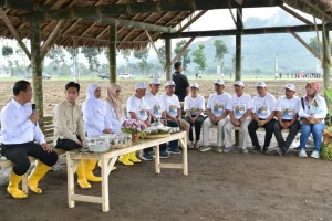 Tinjau-Panen-Raya-Tebu-Di-Banyuwangi-Wapres-Dukung-Swasembada-Gula.webp